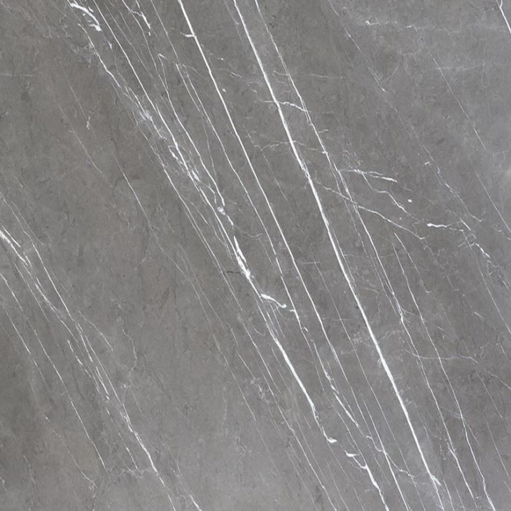 Pietra Grey close up